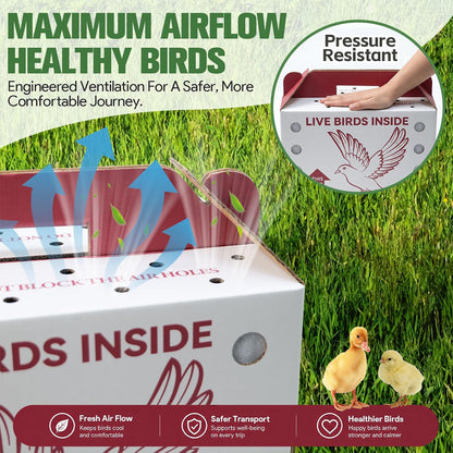 Maeklon 15 Pack Live Chicken Shipping Boxes, 17.5" x 8.5" x 15" Poultry Box | Vented Corrugated Cardboard Transport Boxes with Air Holes, Bottom Board Support and Vent Film for Poultry Shipping