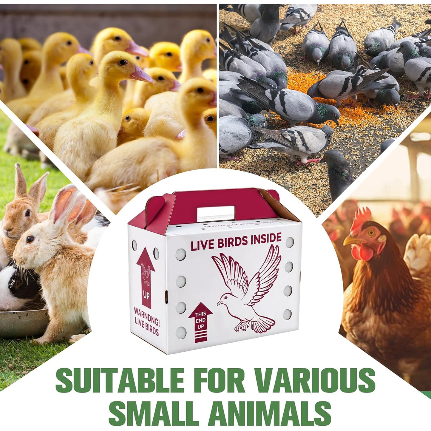 Maeklon 15 Pack Live Chicken Shipping Boxes, 17.5" x 8.5" x 15" Poultry Box | Vented Corrugated Cardboard Transport Boxes with Air Holes, Bottom Board Support and Vent Film for Poultry Shipping